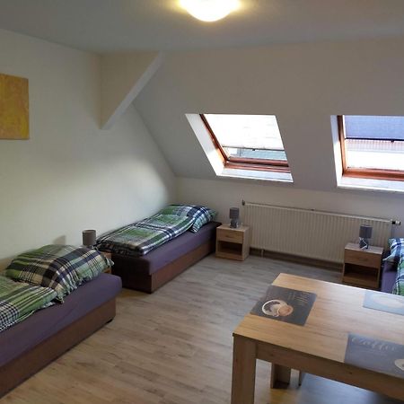 Flex Aparts - Grosse, Moeblierte Wohnung In Zwickau Mit 2 Zimmern 外观 照片