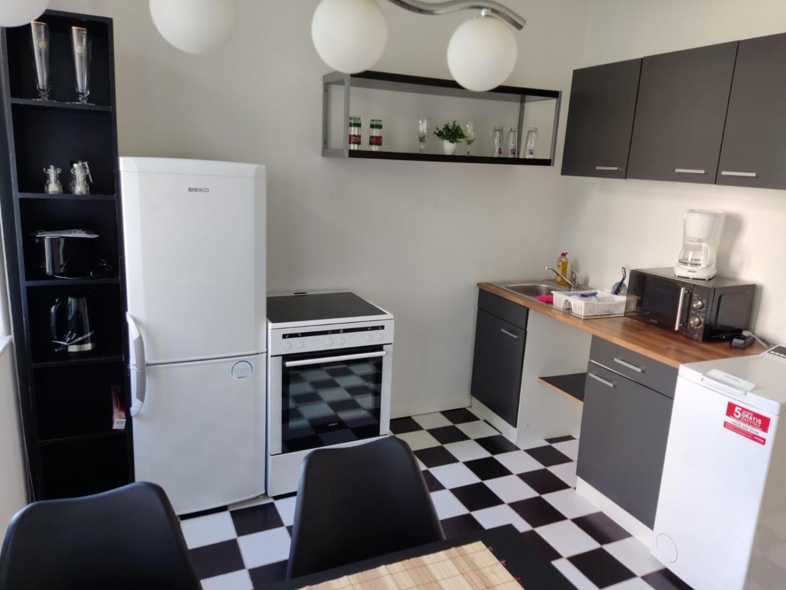 Flex Aparts - Grosse, Moeblierte Wohnung In Zwickau Mit 2 Zimmern 外观 照片